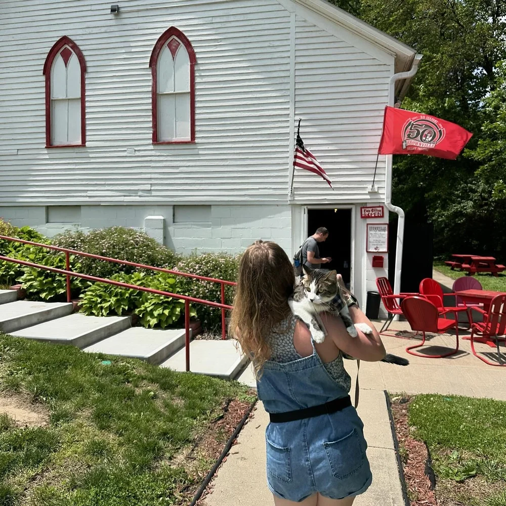 cat brother goes to wokr.jpeg