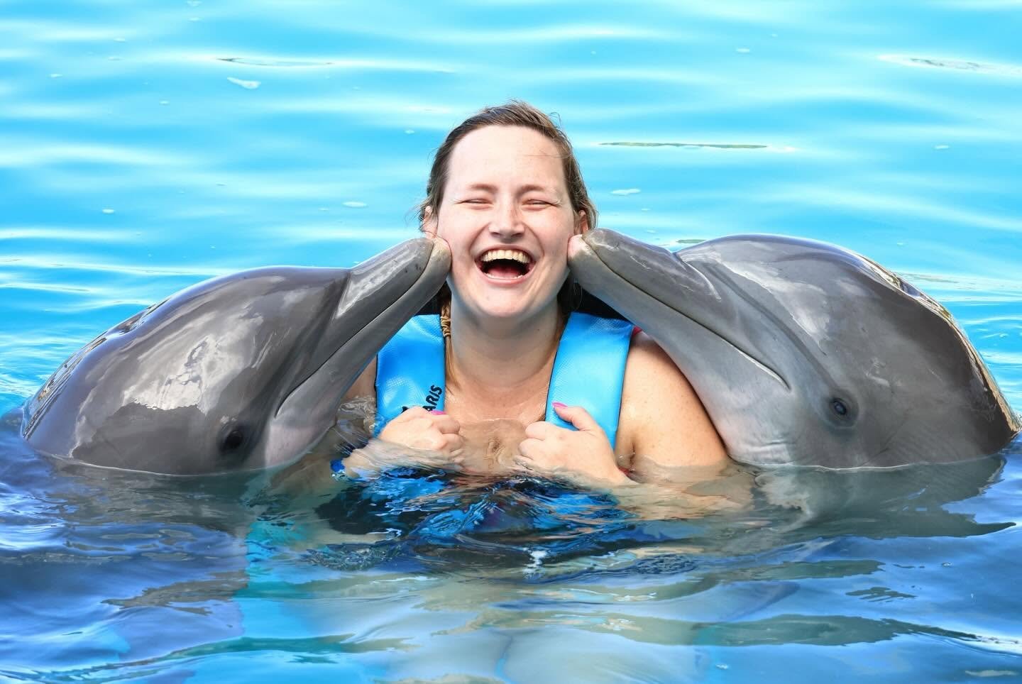 dolphins.jpg