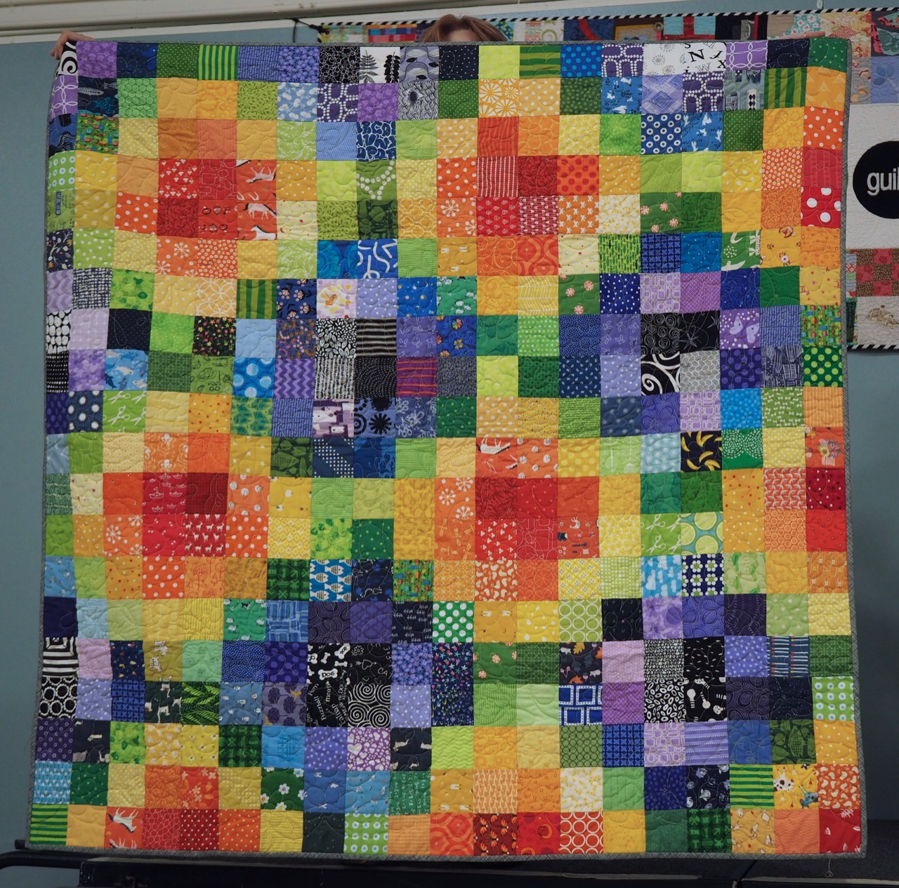 Charity Quilt by PMQG Members