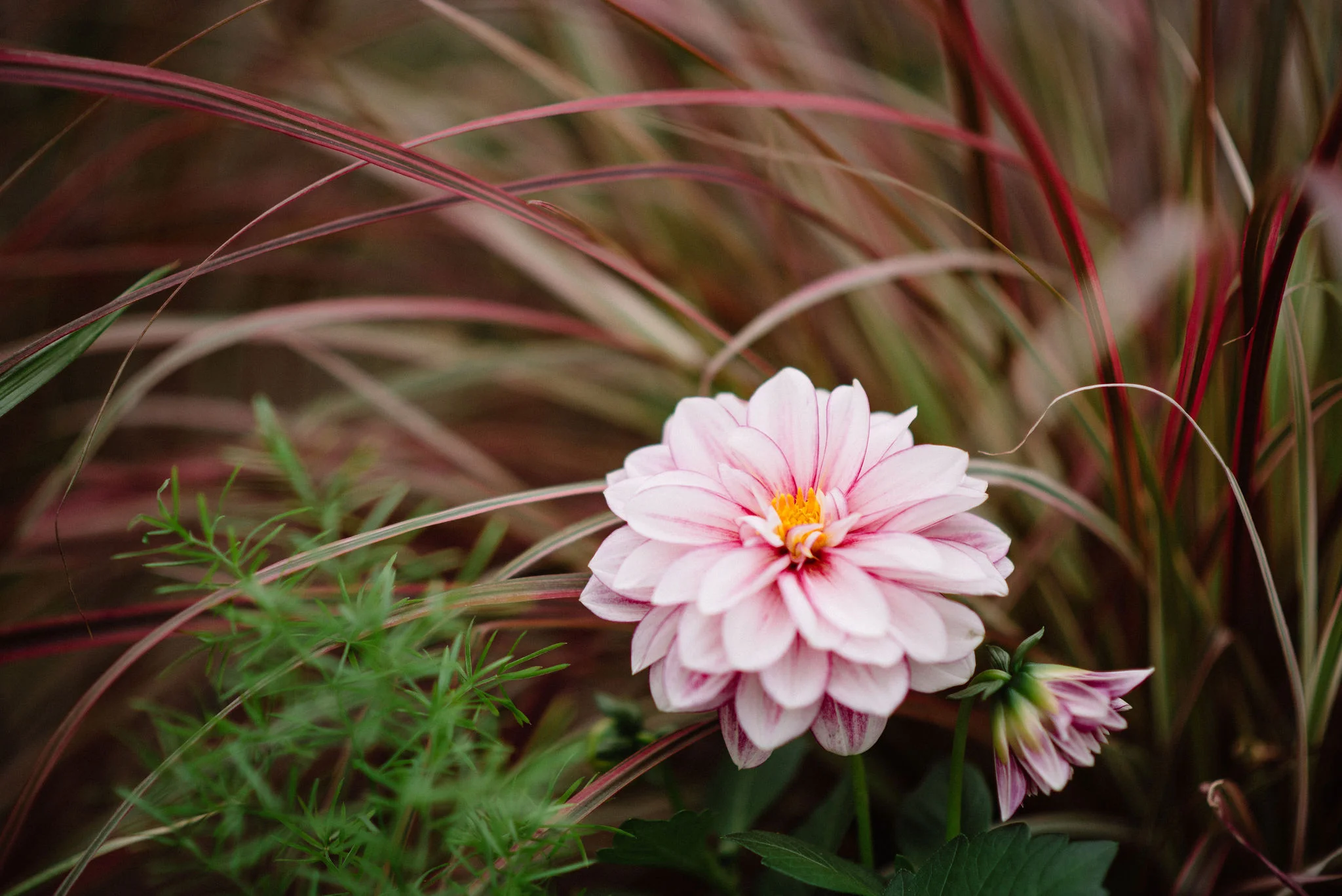 Margaret_AwakenedDivine_034.jpg