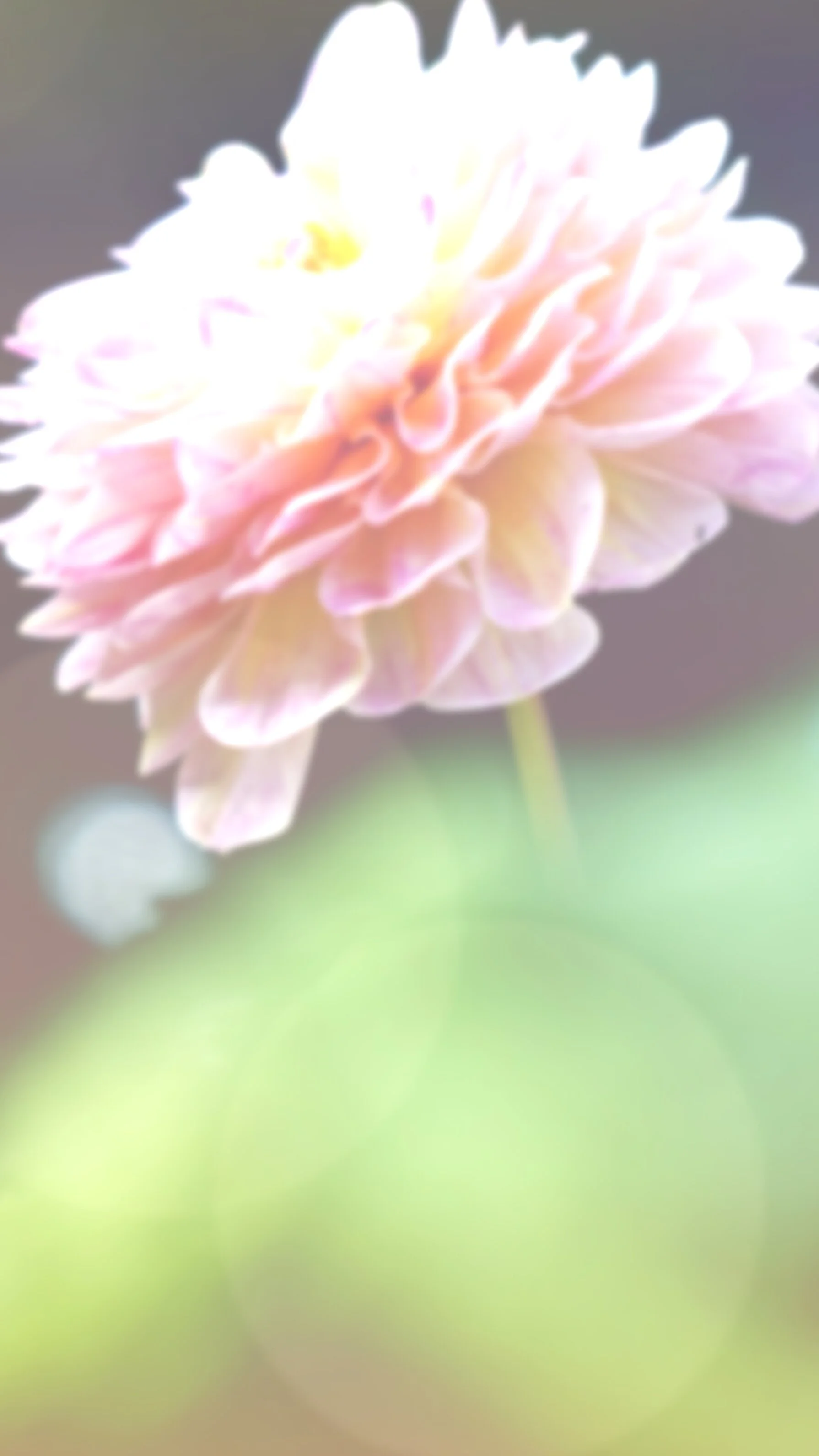 The+Modern+Mystery+School