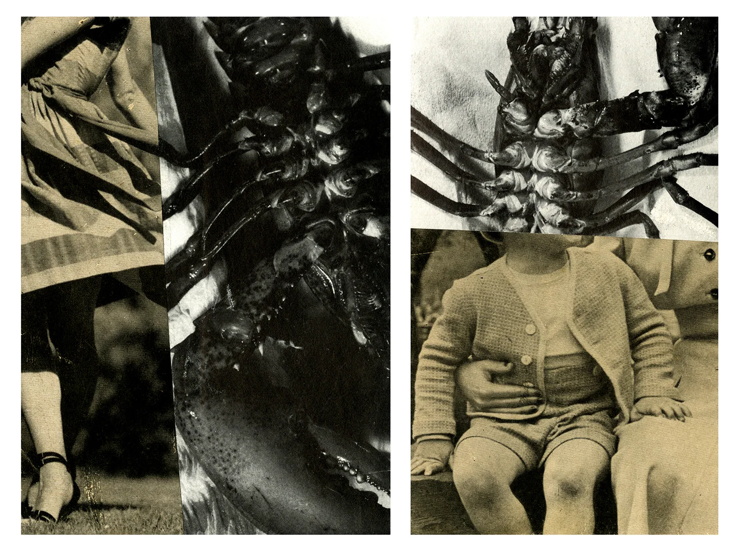 It's in Janice; it's in Brian too / Collage / 2012