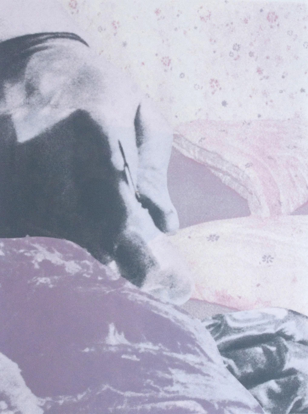 This is Probably a Safe Bedroom / Silkscreen / 2013 / 18"x24" image