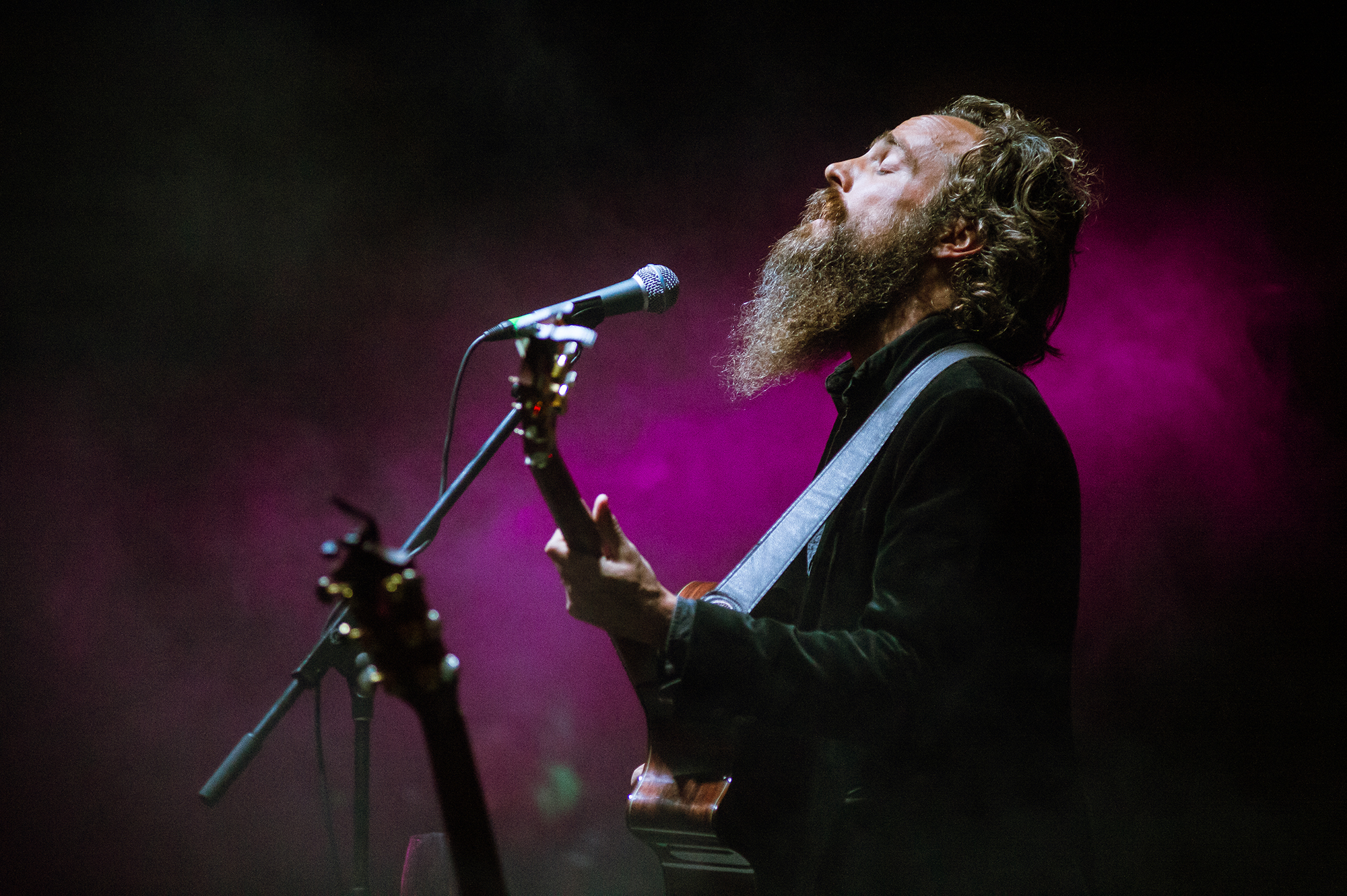 Iron & Wine, Music Tastes Good 2016