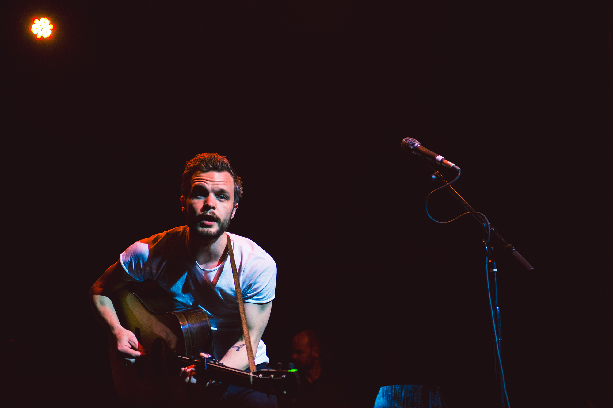 Tallest Man on Earth, Observatory