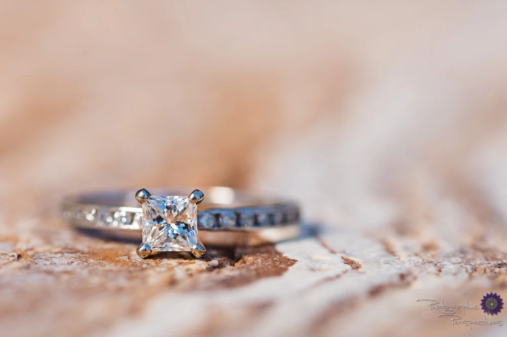 UNM Lobo Engagement Photos