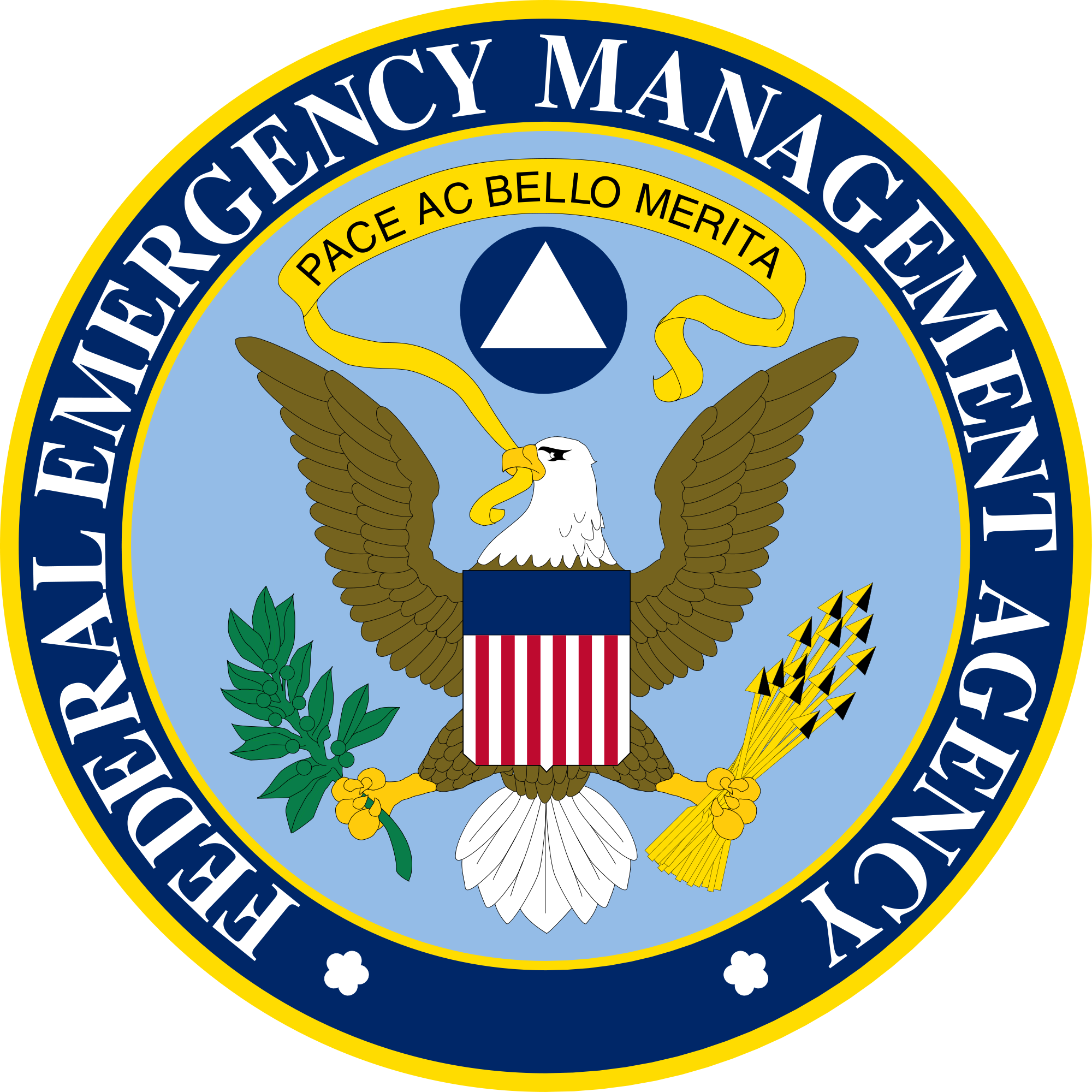 FEMA logo.png