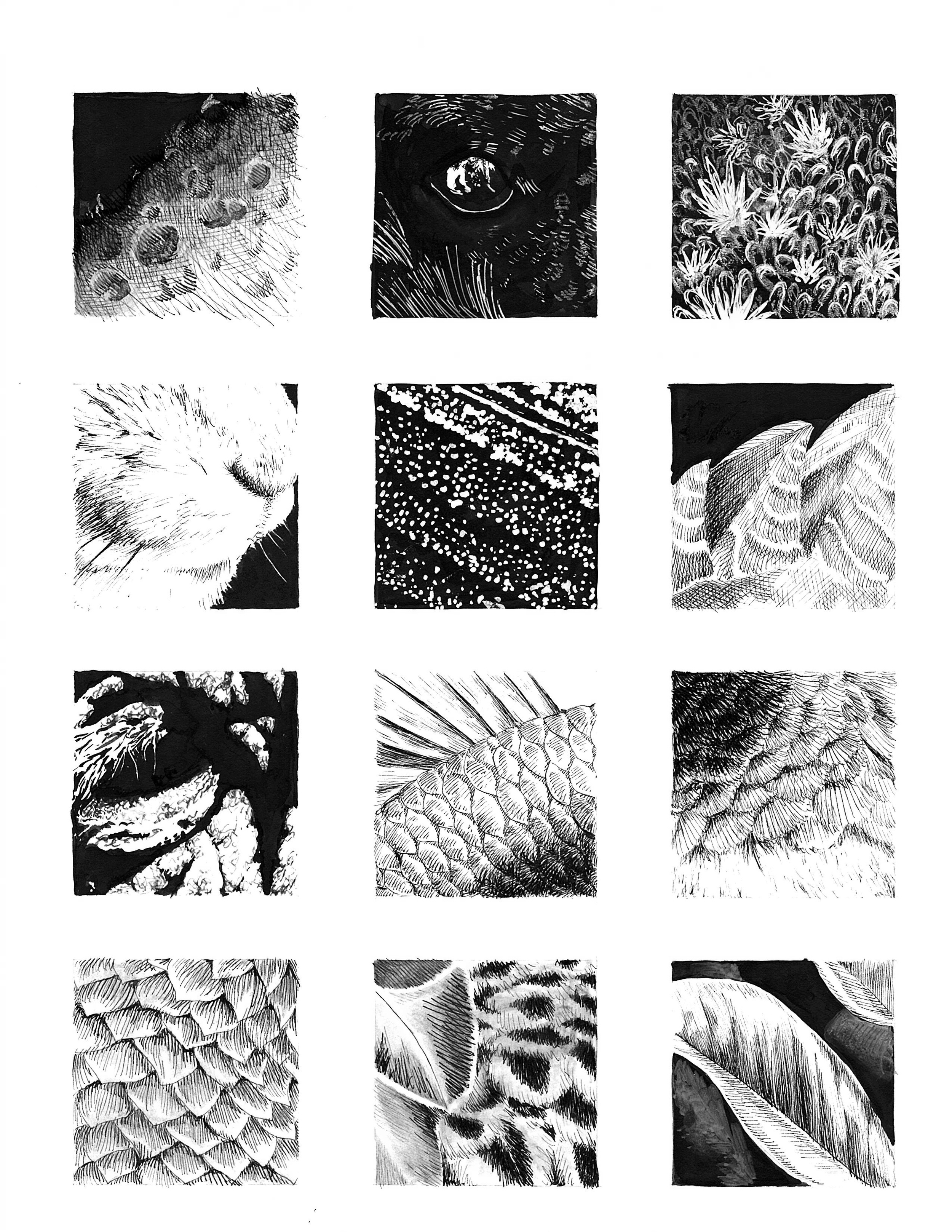 Textures in ink