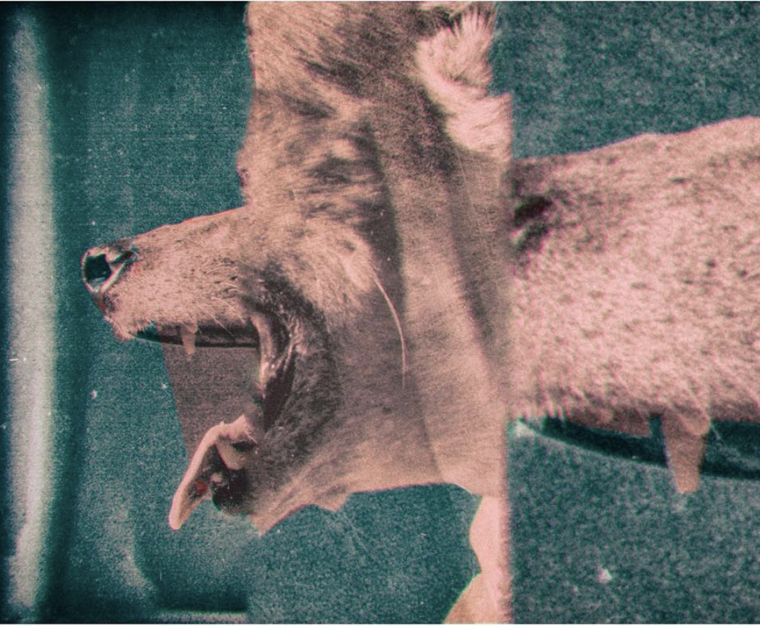 Screenshot 2020-08-13 at 12.52.26.png