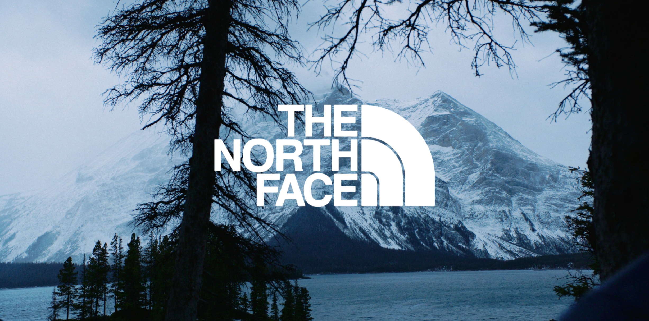 THE NORTHFACE