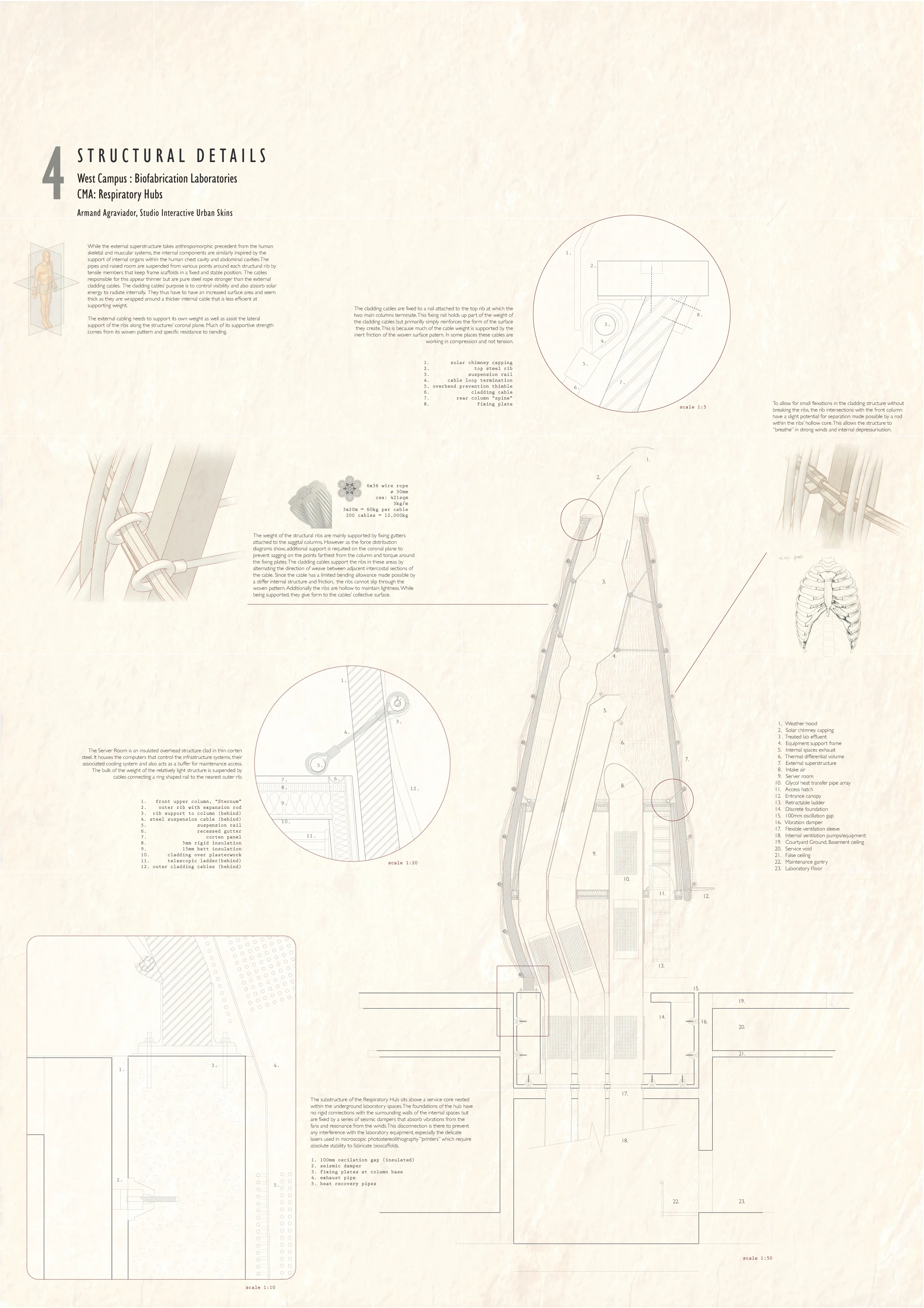 CMA p4.jpg
