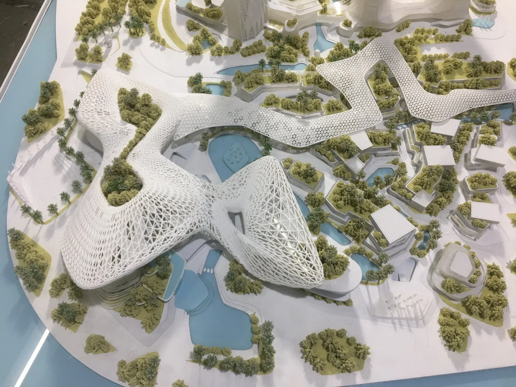 Relationship of canopy to main pavilion and mixed-use area