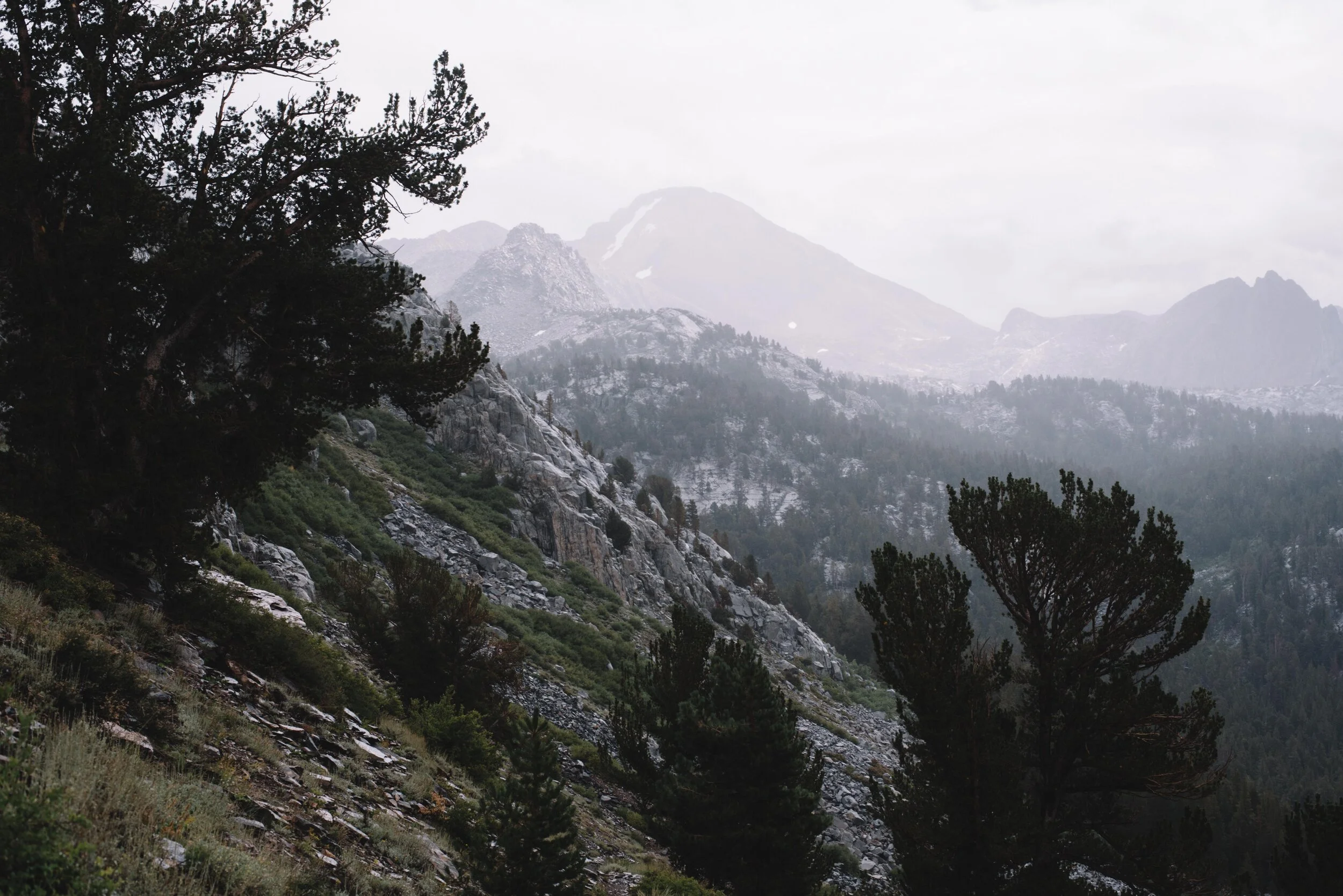 JMT-98.jpg