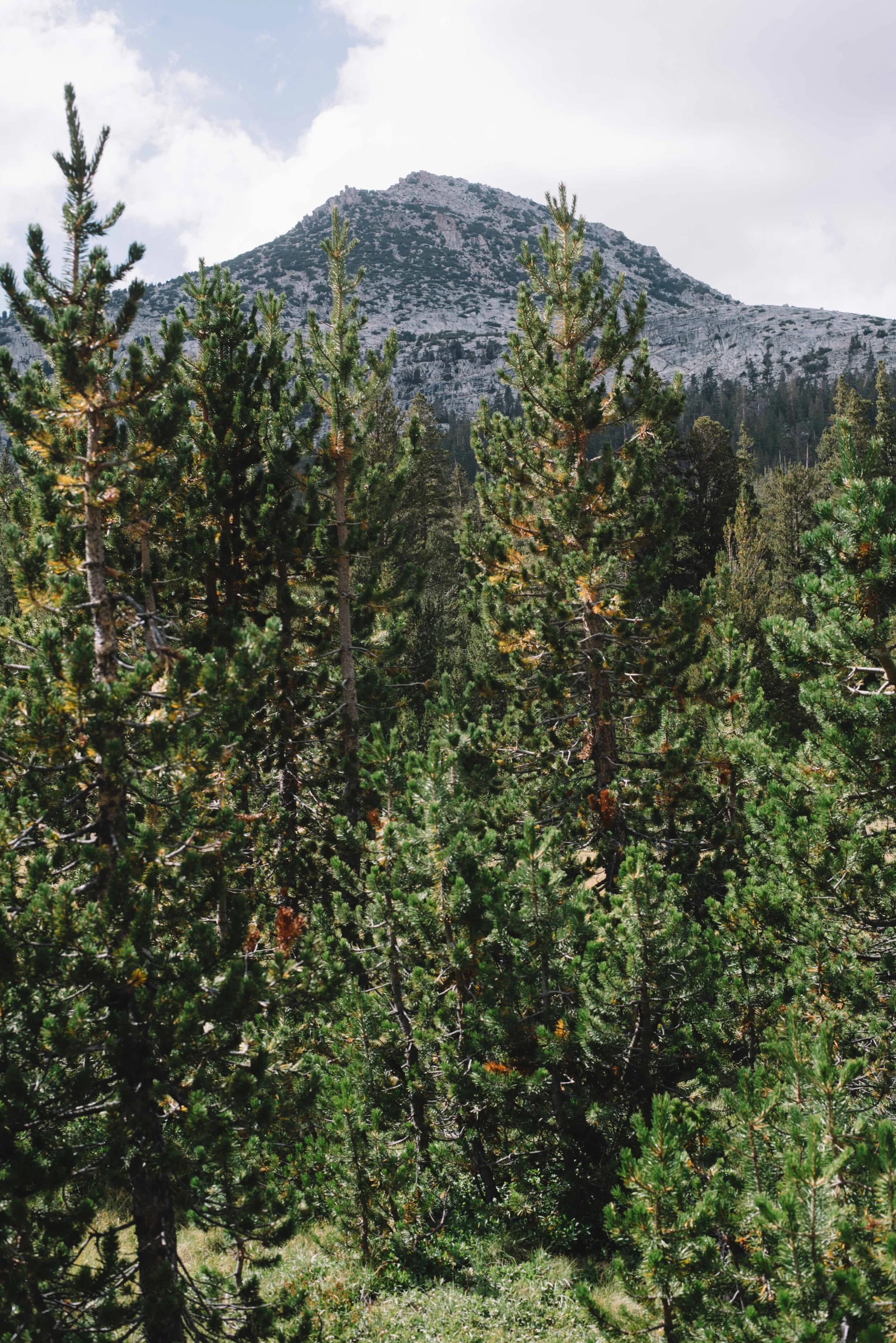 JMT-131.jpg