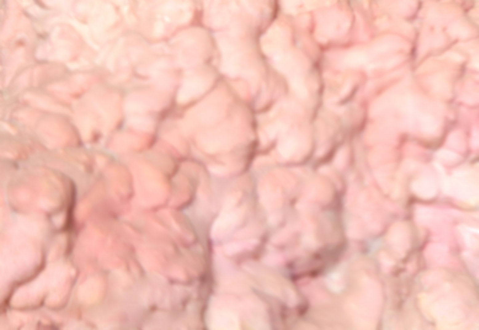 Blurbackground.jpg