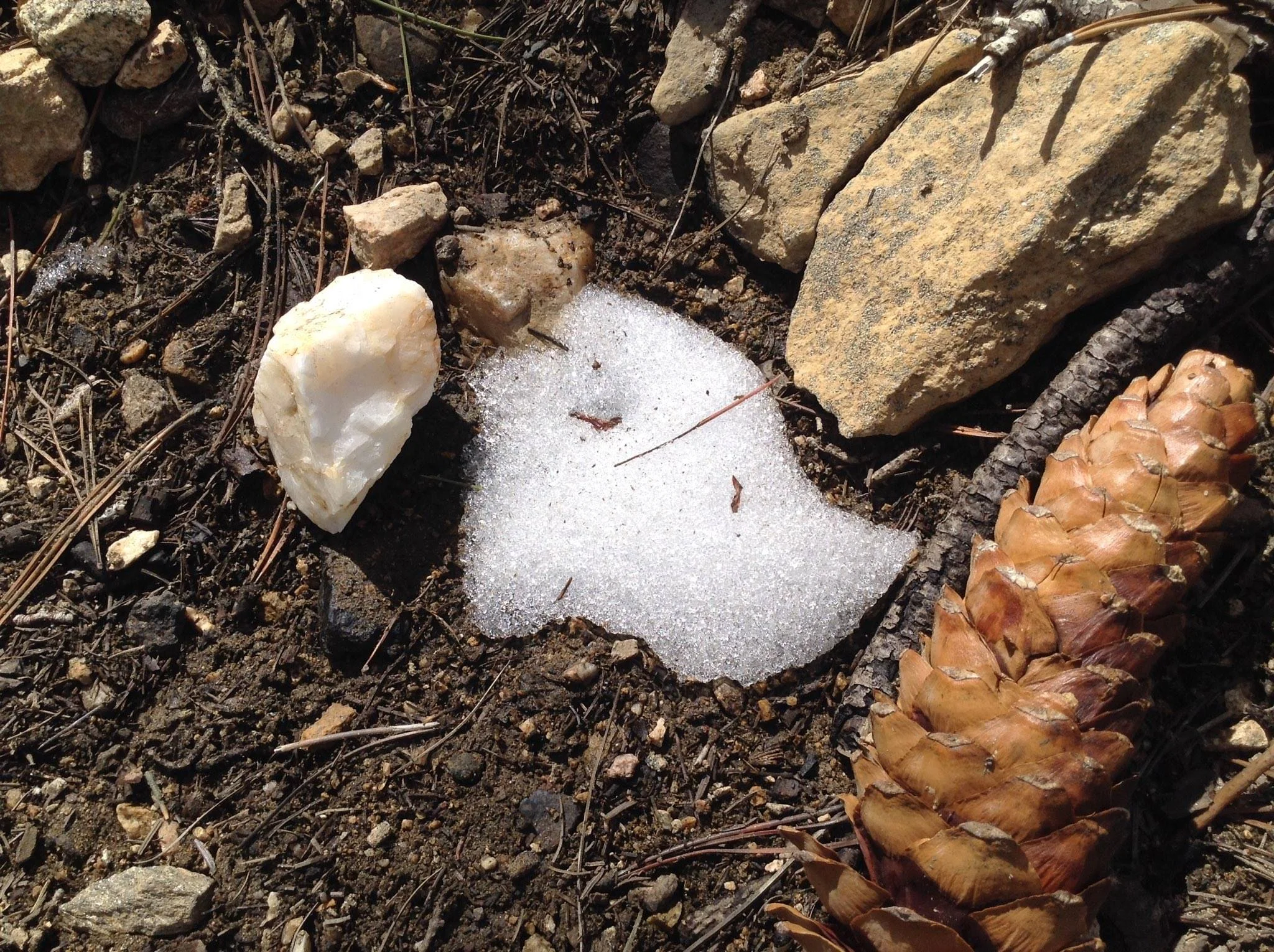 Observation and appreciation of the Beauty of Nature and intentional commingling with the Elements can have profound healing and transformative power.