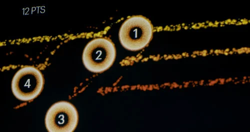 EQX_4.jpg