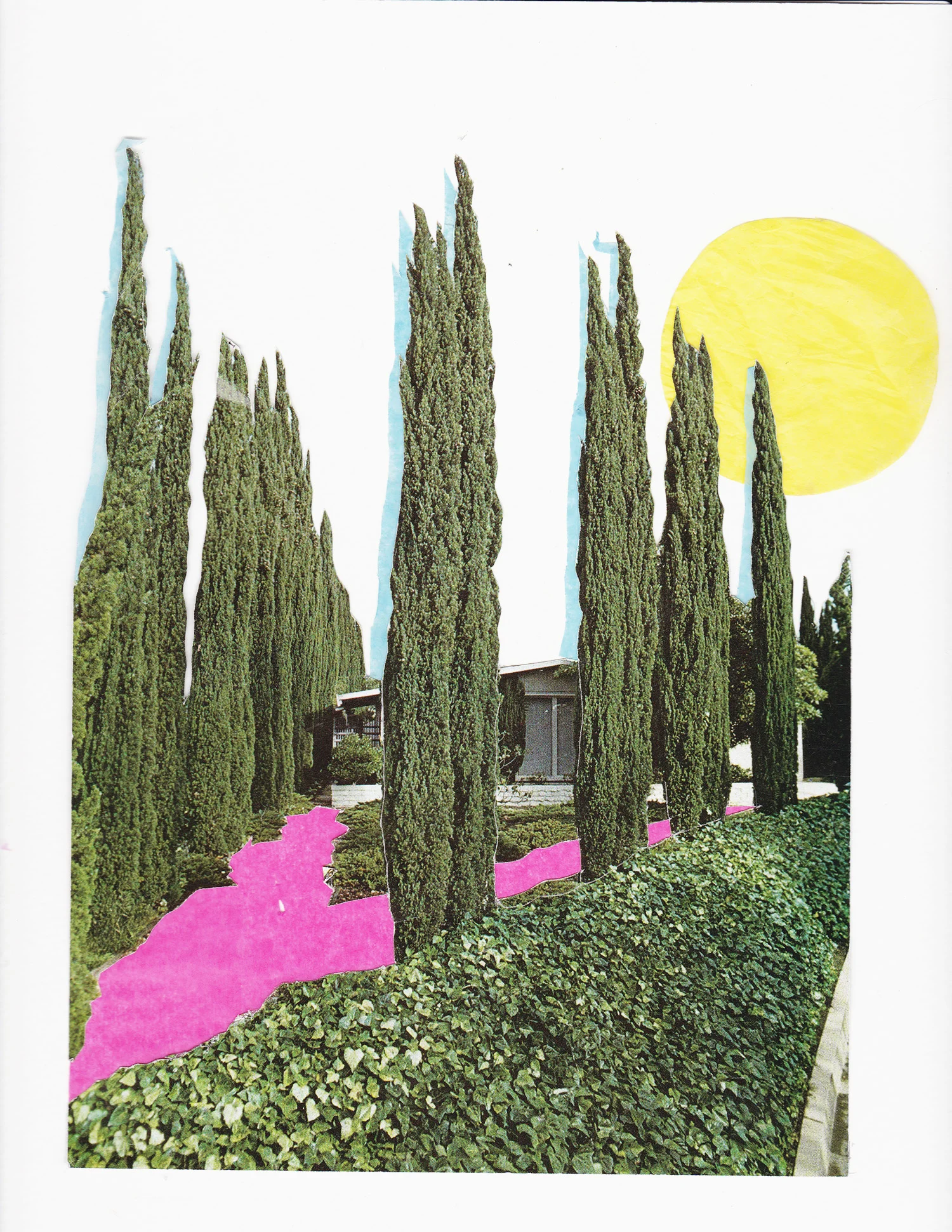 yard.jpg