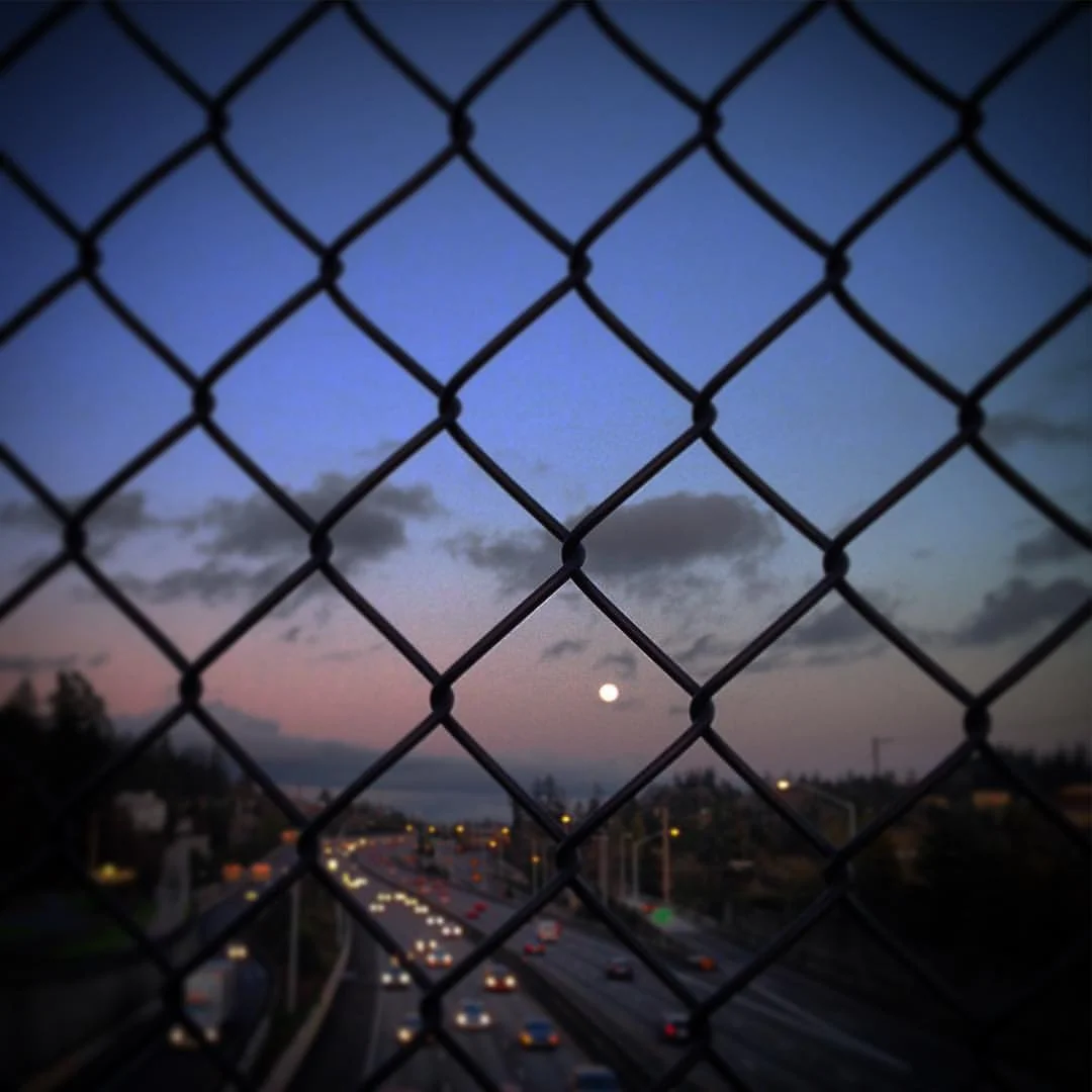 The Moon Was Bright | The Weekly Letra