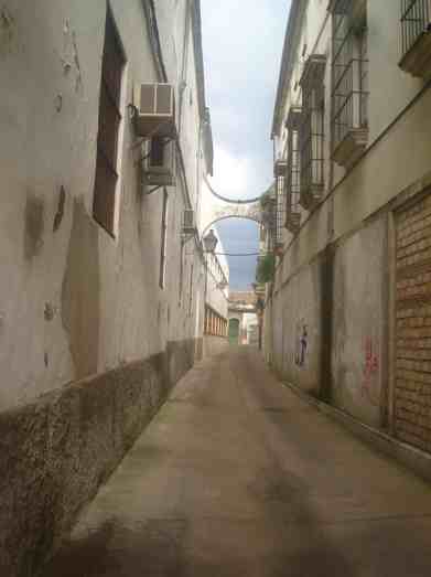 Festival de Jerez 2011 - Week One