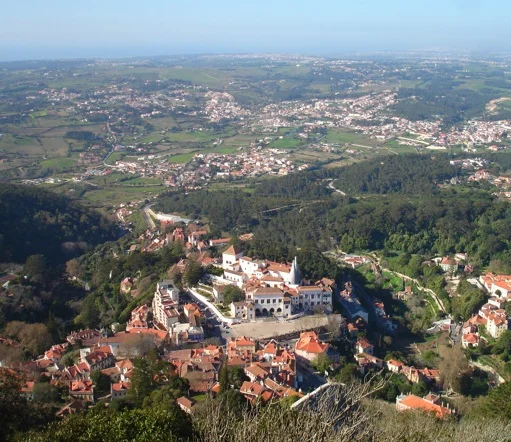 Post-Festival de Jerez 2011 - Week Three