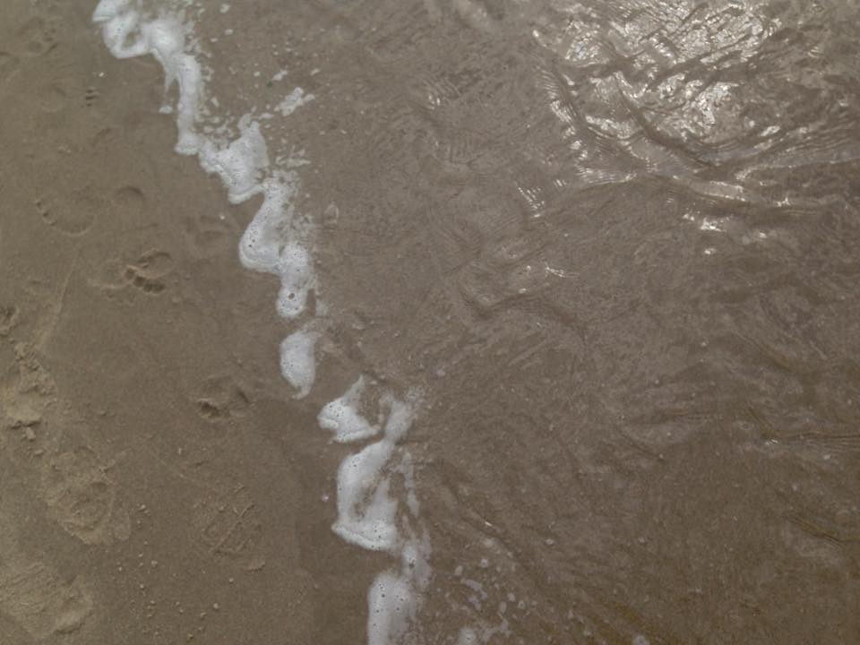 sand and water.jpg