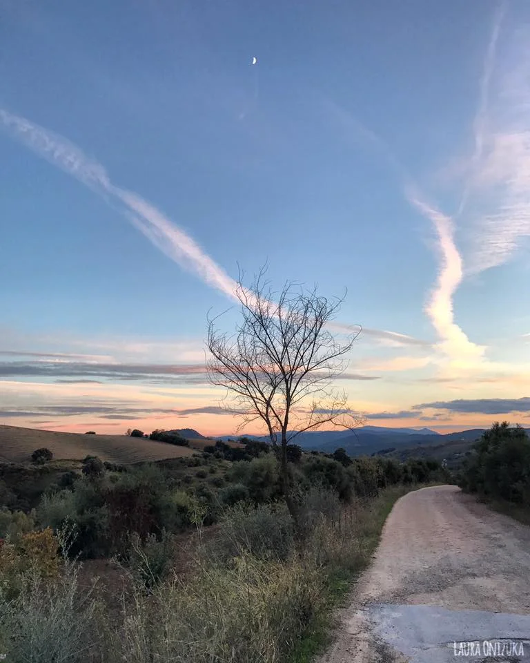 Sunset November 6, Camino del Pilar.jpg