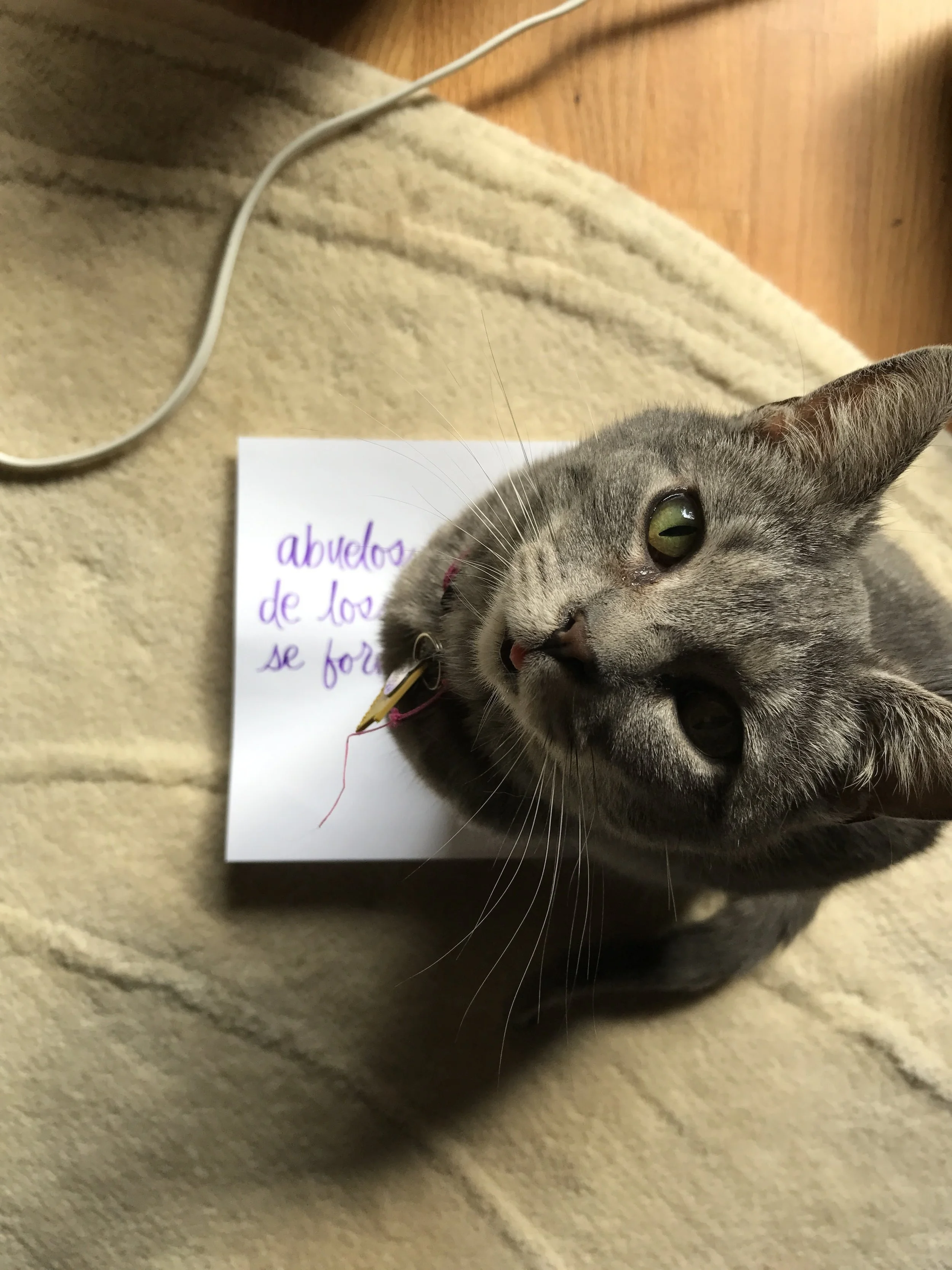 Grandparents | The Weekly Letra