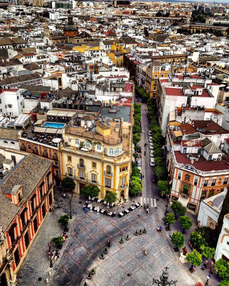 View of Sevilla from the top of the Giralda