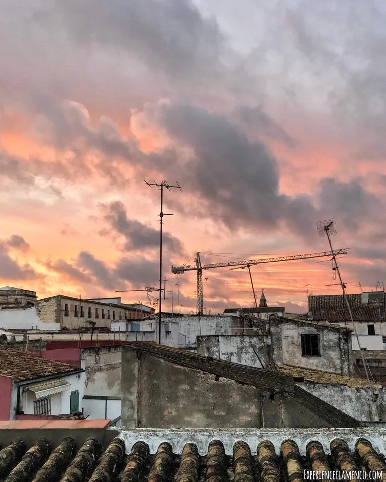 Sunset fall Jerez 2017.jpg