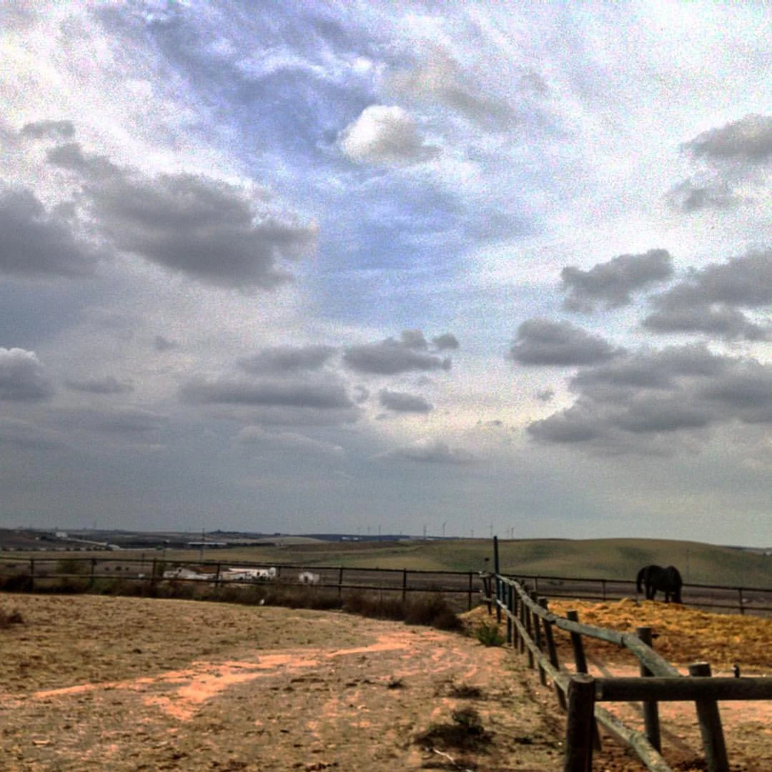 bodega horse view jerez.jpg