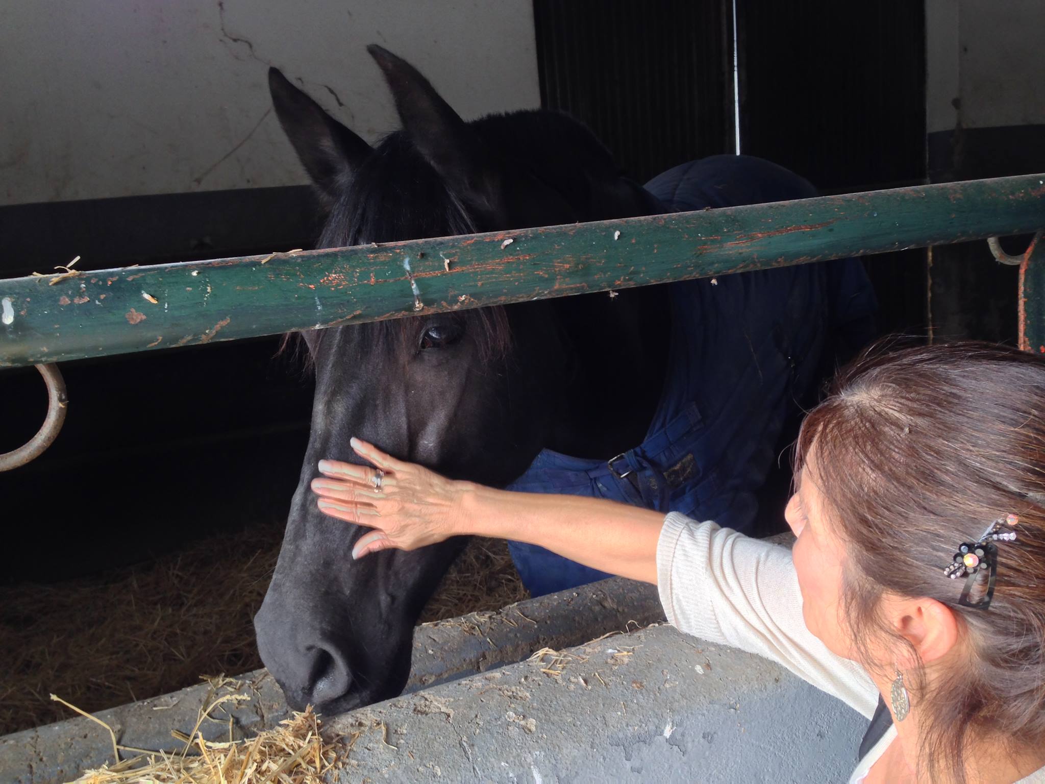 Carol with horses Jerez.jpg