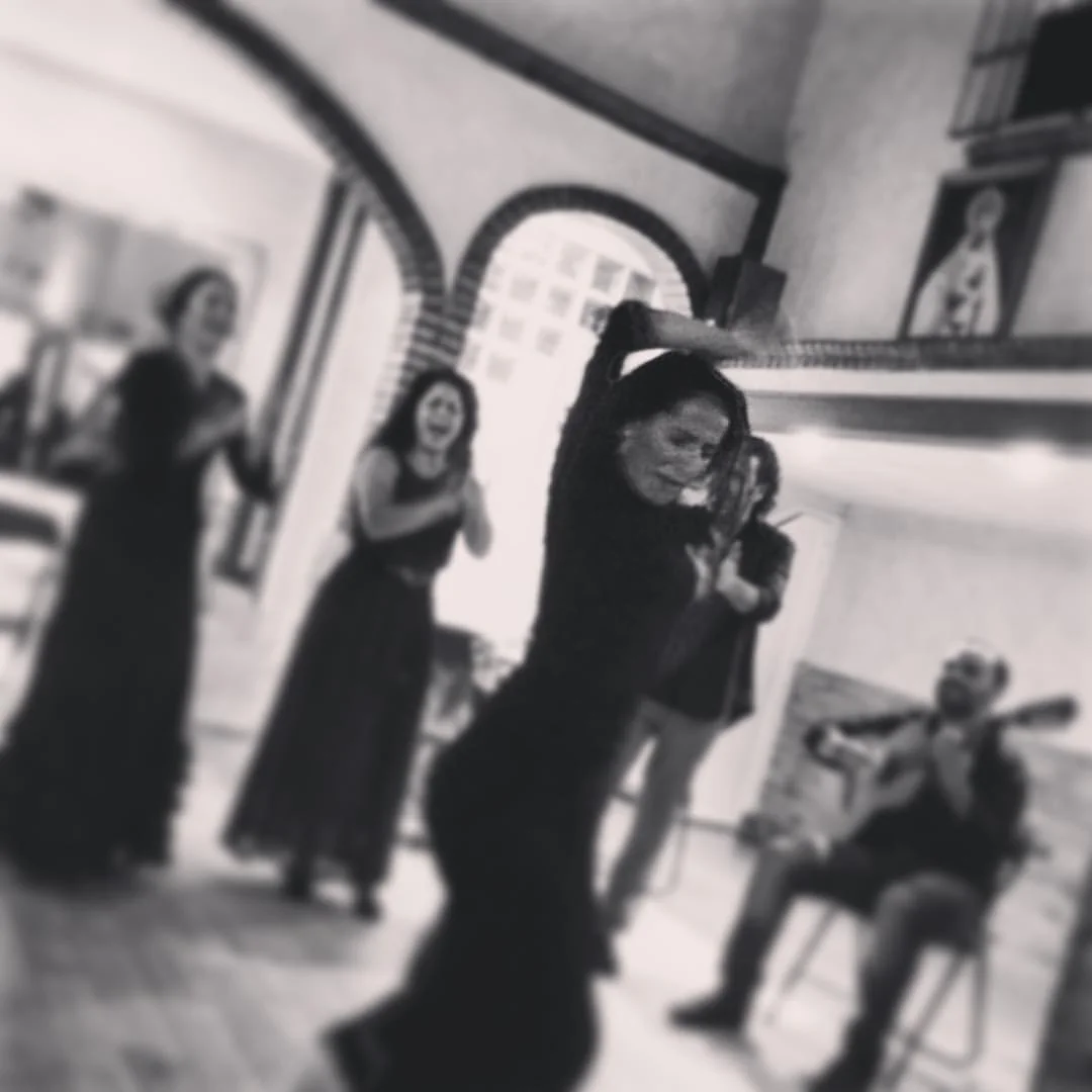 Mercedes in action during our Fin de fiesta during our private show