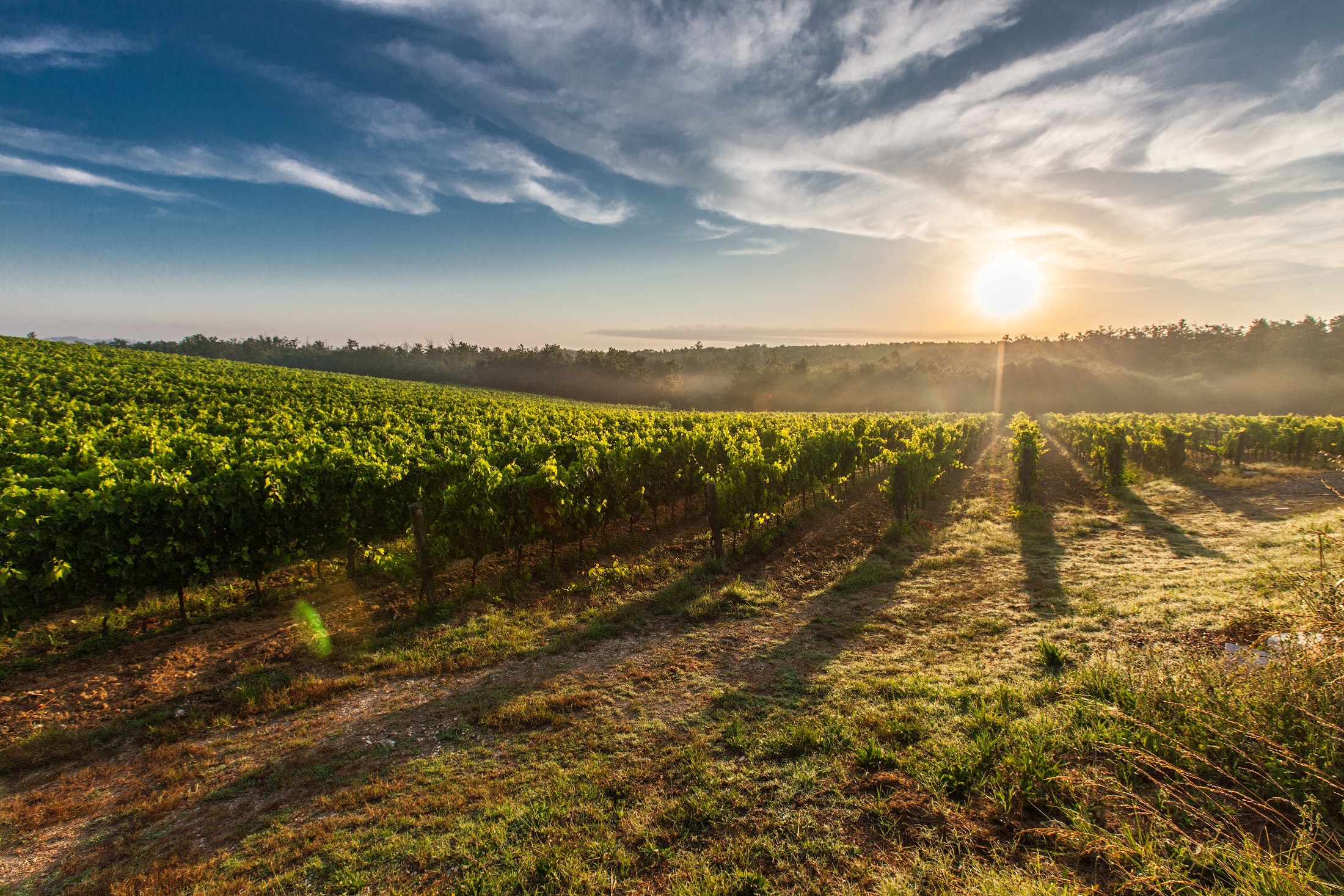 clouds-countryside-daylight-51947. free stock photojpg.jpg