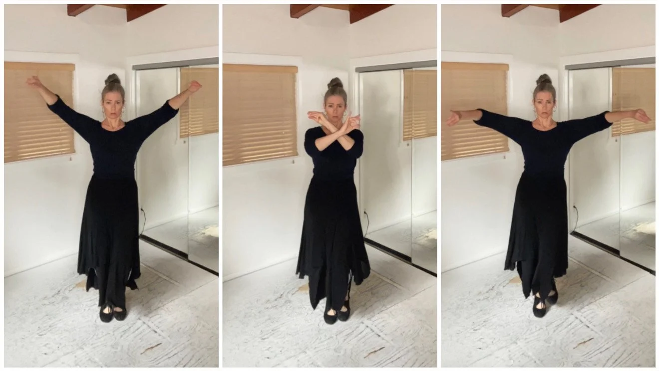 Easy Tangos Step [Flamenco Dance Steps]