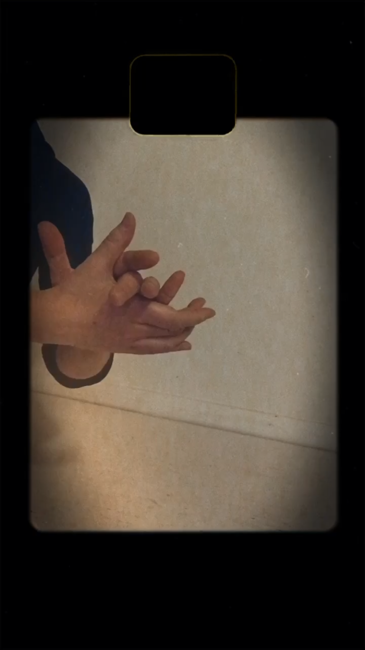 How Many Different Palmas Patterns Can You Identify? | The Weekly Letra