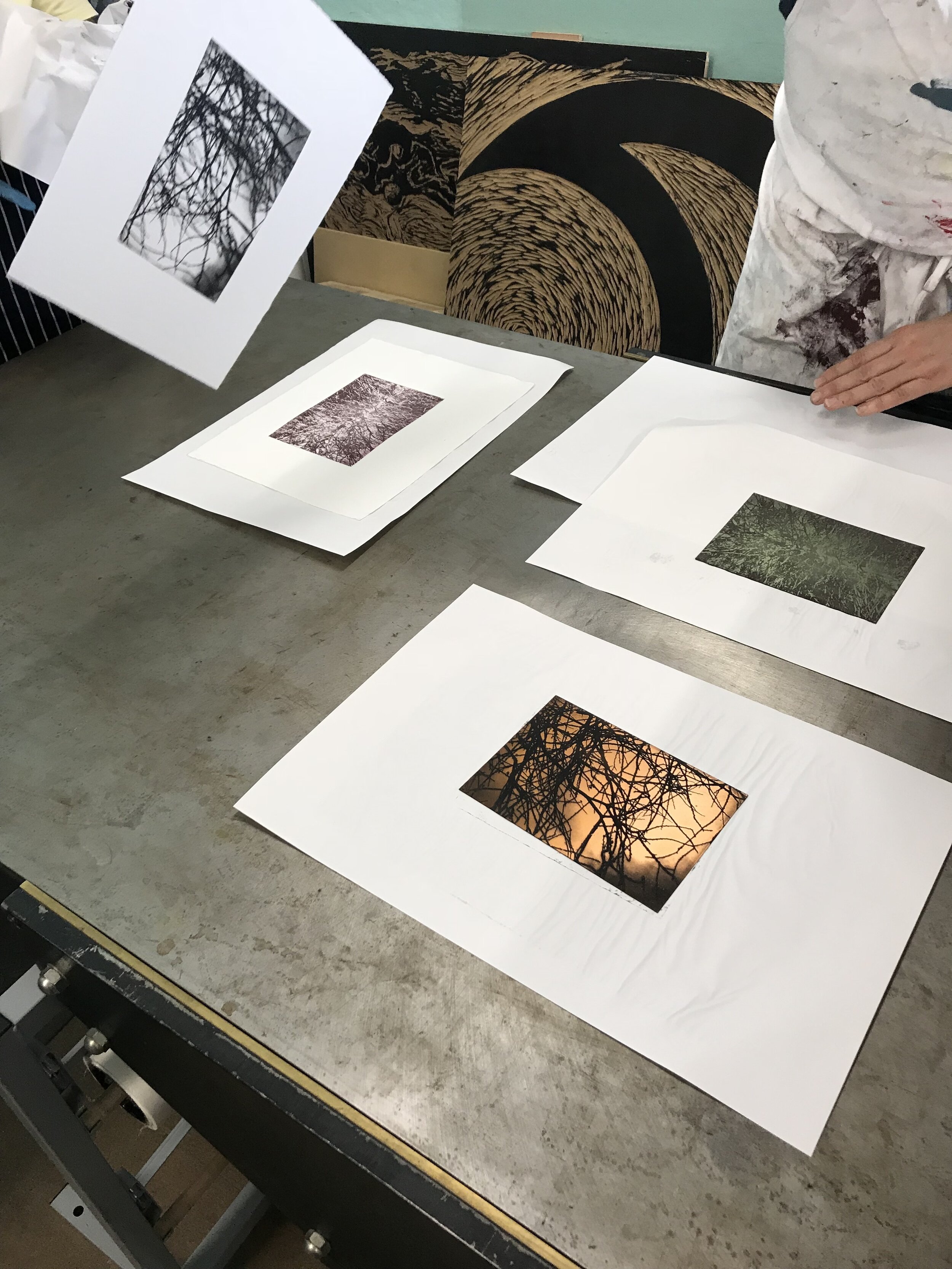 Solar Plate proofing