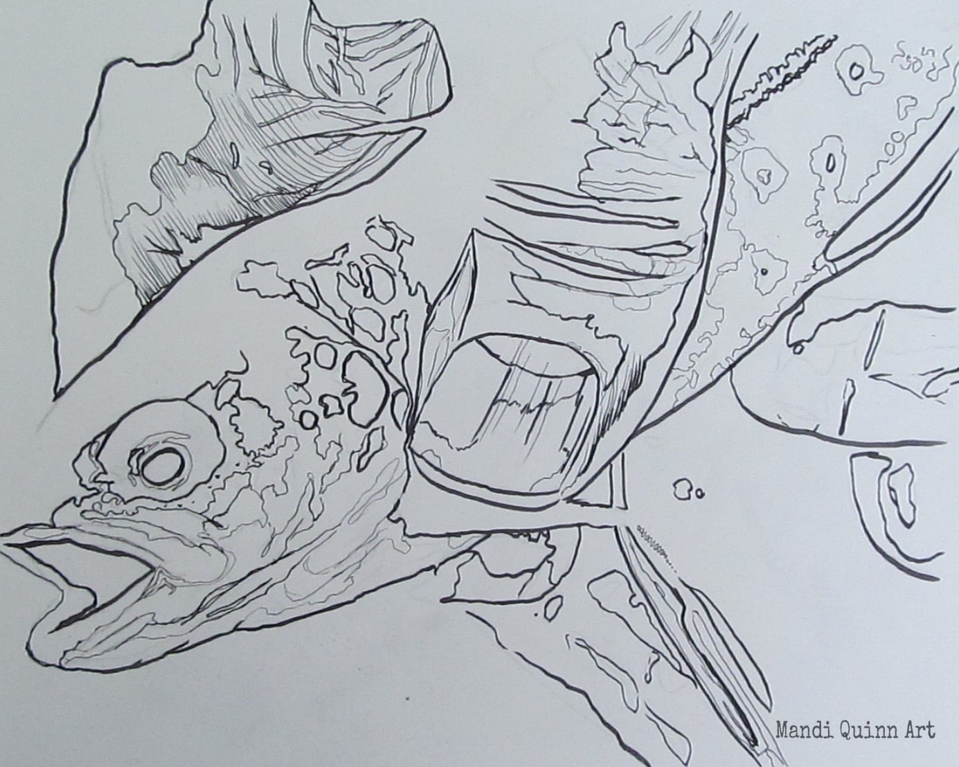 Black and White Drawing Study 2