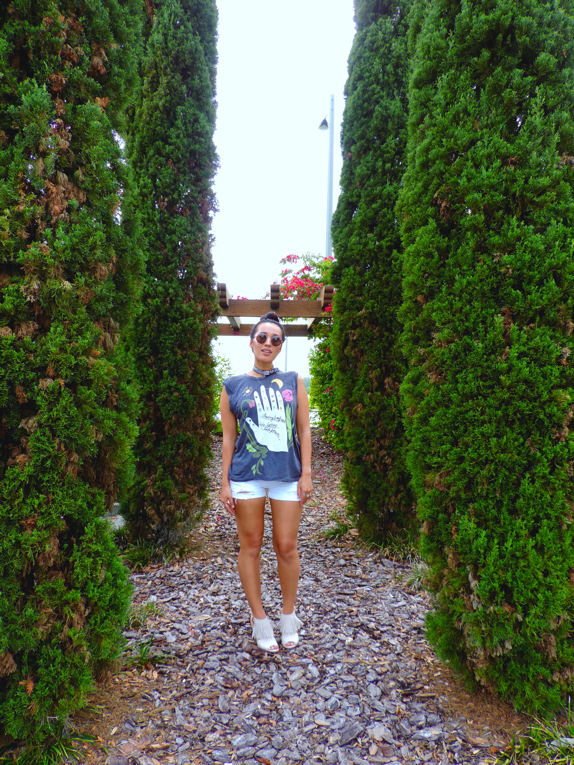 TOP: Wildfox