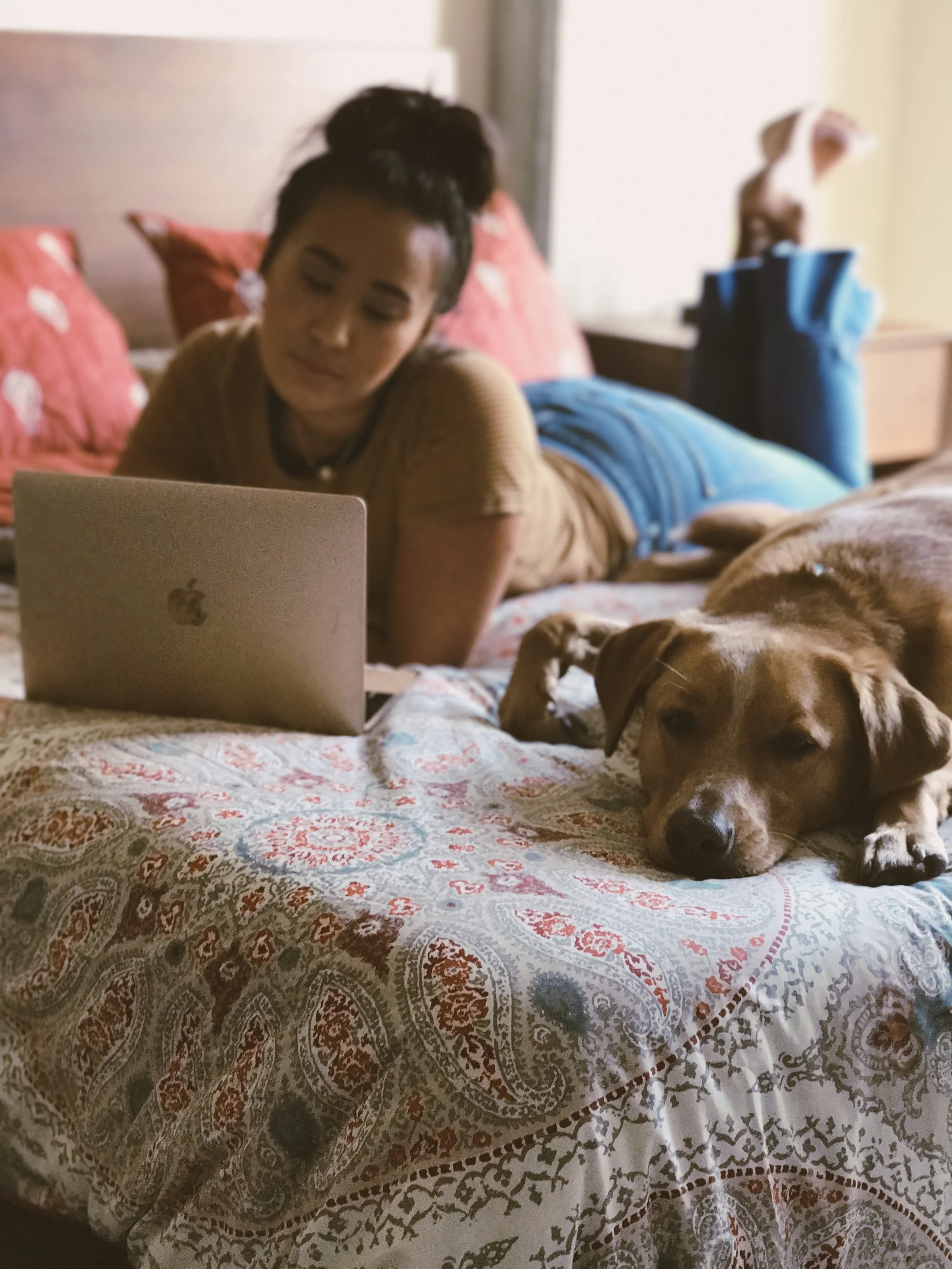 Polo also approves on our new mattress. He's tested it out a few times now.