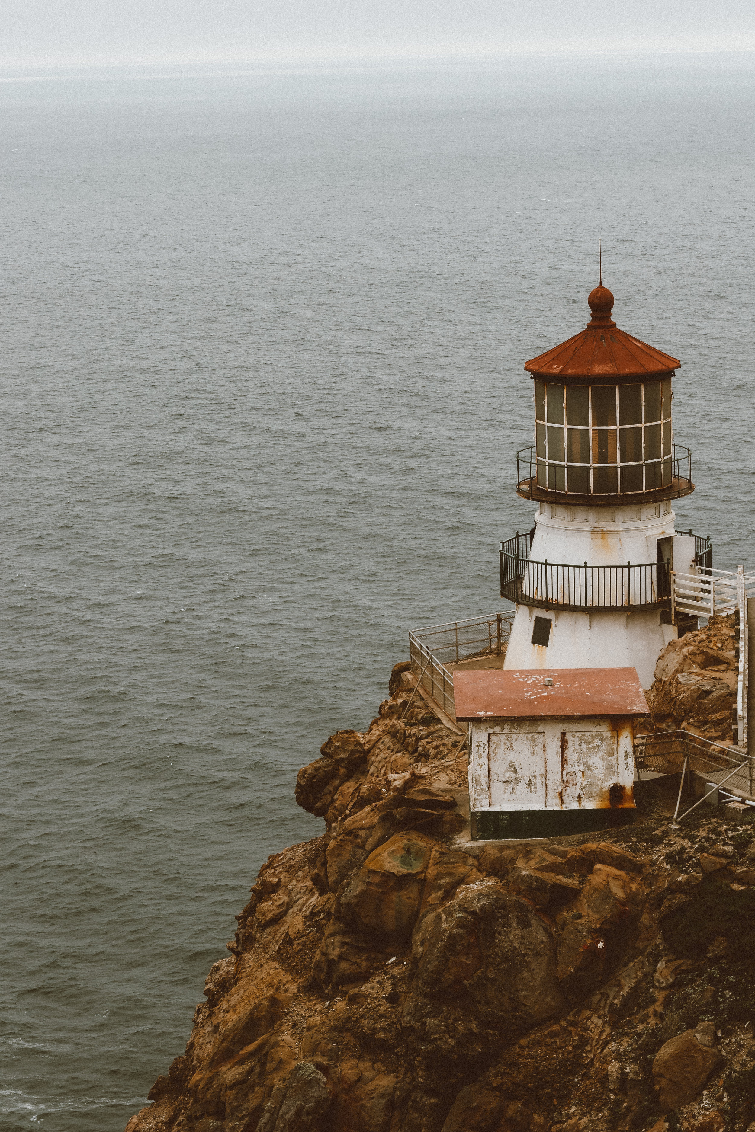 pointreyes6.jpg