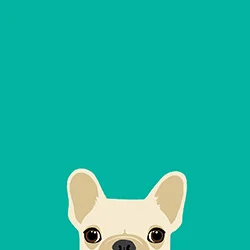 FrenchiePeek1.jpg
