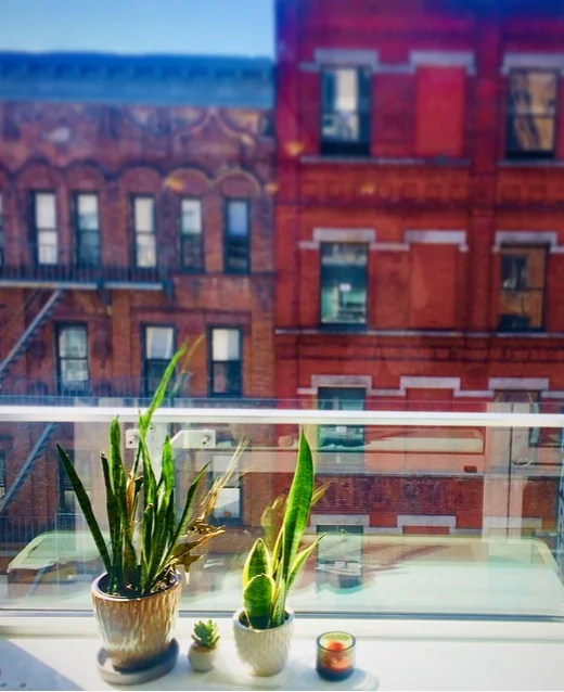 feng_shui_long_island_new_york_instagram_photo_by_laura_cerrano_.jpg