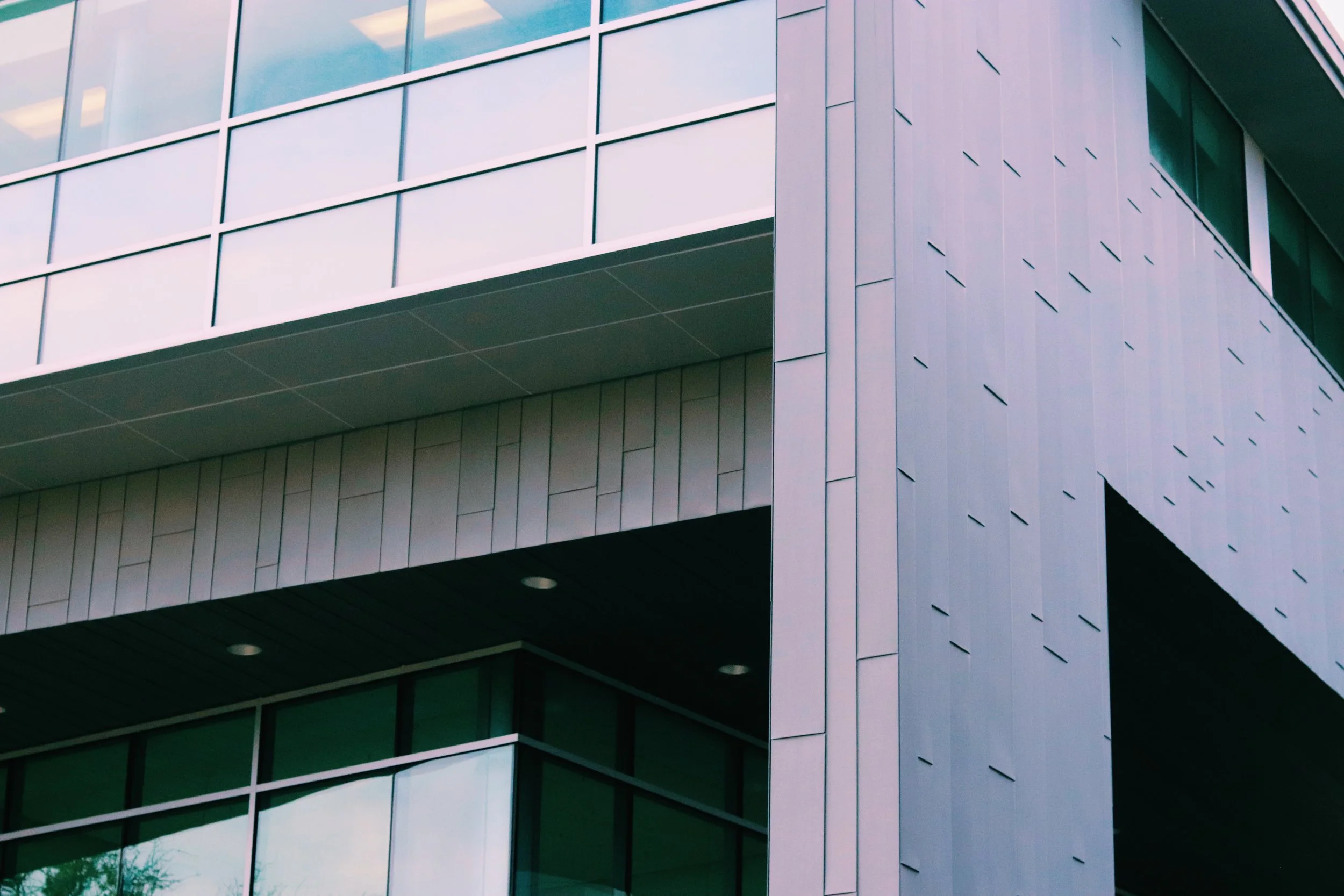 For the Love of Lines