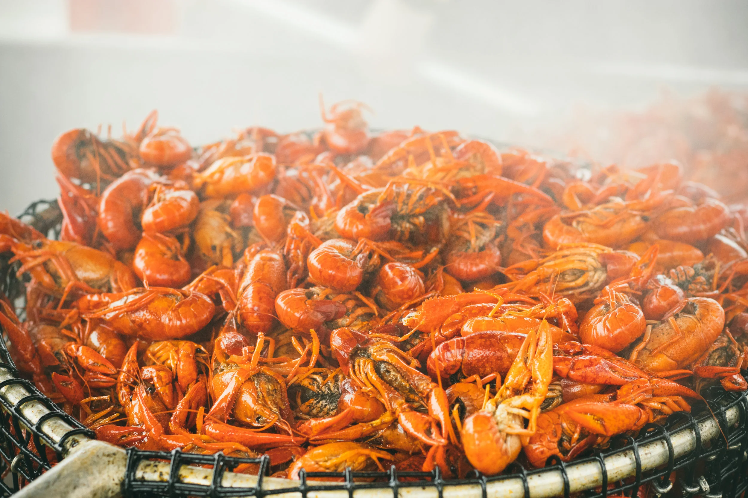 EBR Council on Aging Crawfish Boil