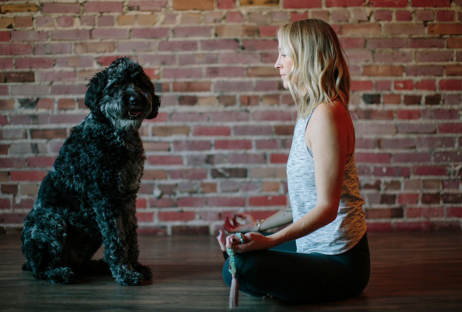 Screen Shot 2019-03-20 at 6.51.10 PM.png