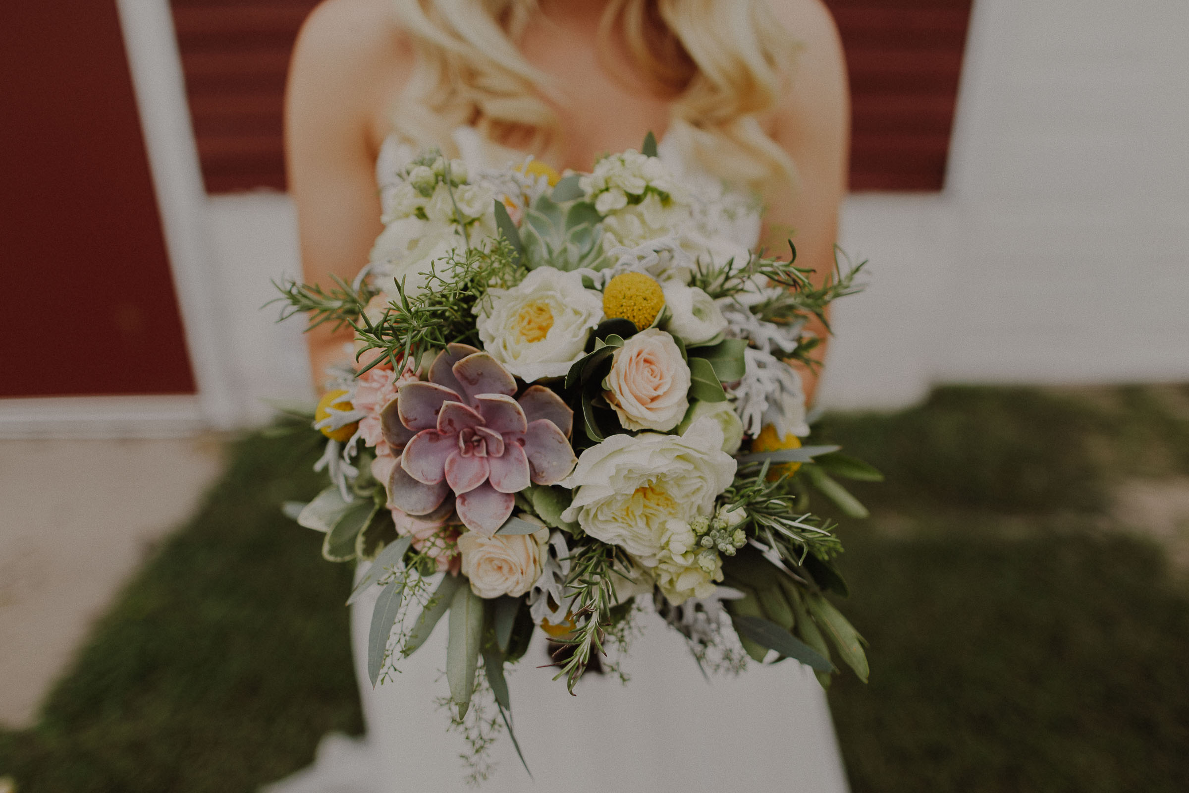 The Barn at the Ackerhurst Dairy Farm wedding