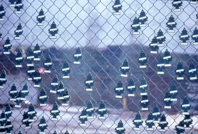 Royal Pine (detail) , 1998, Little Tree air fresheners, zip ties, mounted on existing cyclone fence, east village, New York City