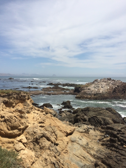 Estero Bluffs State Park - Cayucos, CA 