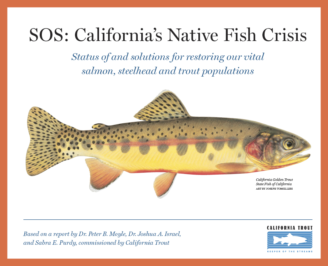   SOS  | Team: Big Think Studios (Peter Walbridge, Brian MacDougall, Erin Heath, and me); Dr. Peter B. Moyle, UC Davis research team, and Cal Trout; Illustrator: Joseph Tomelleri. 